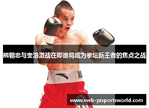 熊朝忠与奎洛激战在即谁将成为拳坛新王者的焦点之战