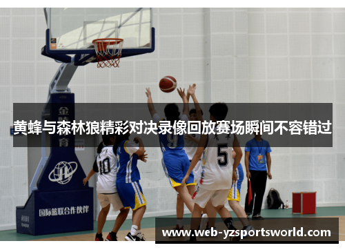 黄蜂与森林狼精彩对决录像回放赛场瞬间不容错过